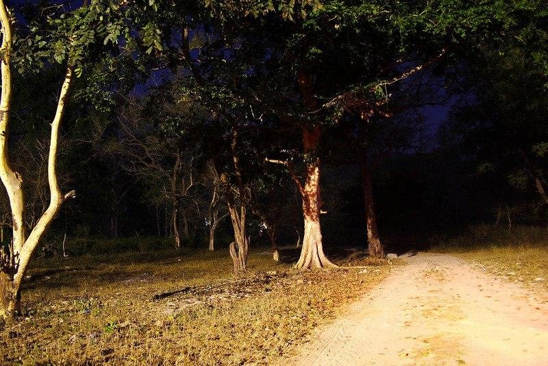 Delhi Cantonment Area, Google Images