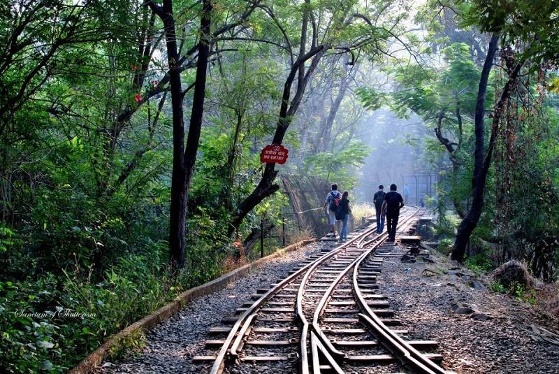 Sanjay Gandhi National Park, Google Images