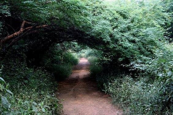 sanjayvan